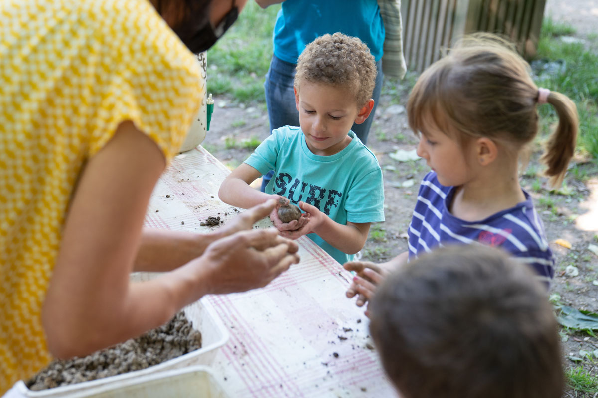 bombes de graines fete iris (1)